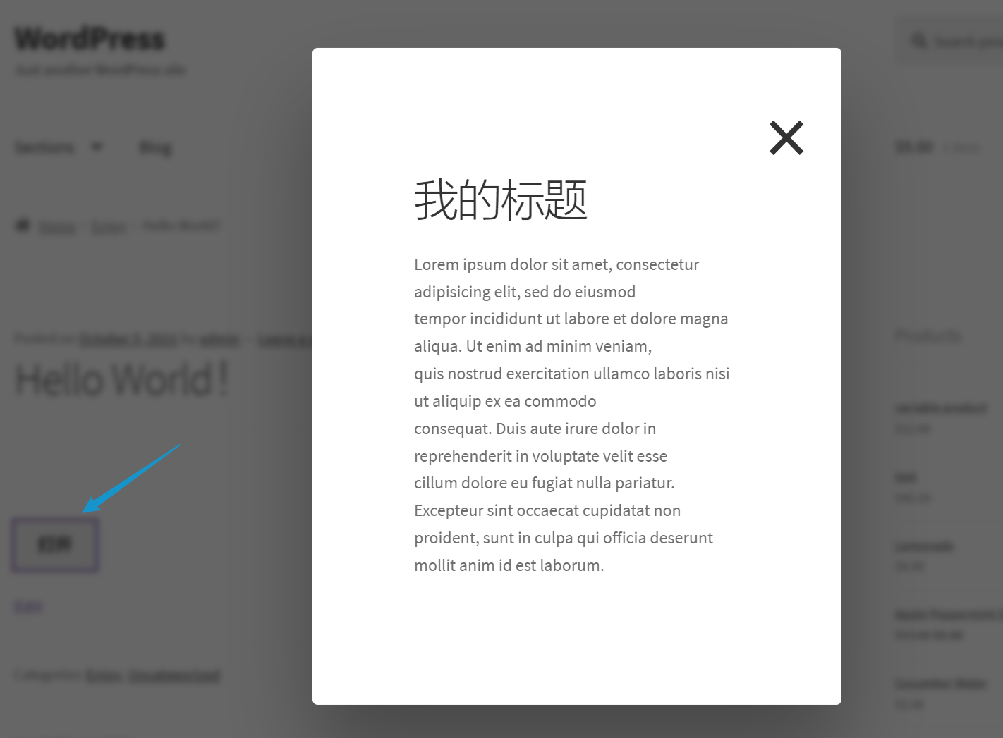 WordPress Popup Box前台效果