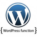 wordpress functions