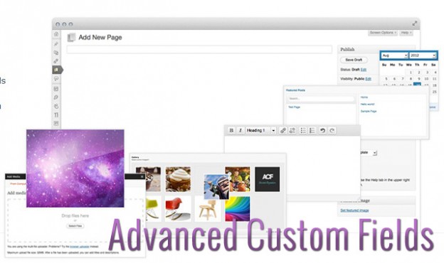 Advanced Custom Fields